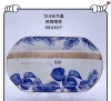 2020 new 12.5-inch rectangular fish plate tropical rainforest details Picture